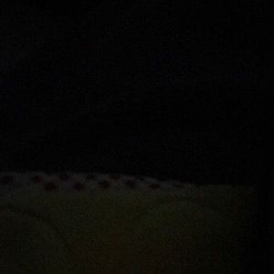 Meet your Posher, Terry